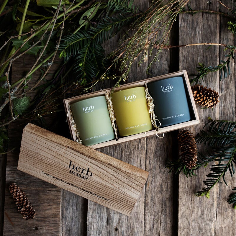 Herb Dublin Winter Walks Set of 3 Candles in Wooden Gift Box