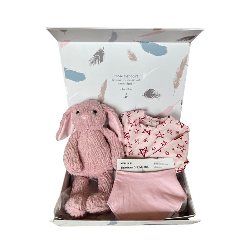 Stork & Co Gift Set With Pink Star Designed Sleepsuit, Bib & Pink Bunny