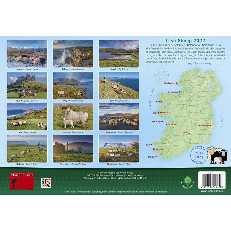 A4 Irish Sheep 2021 Calendar by Liam Blake
