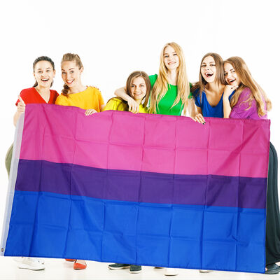 Bi Sexual Pride Flag