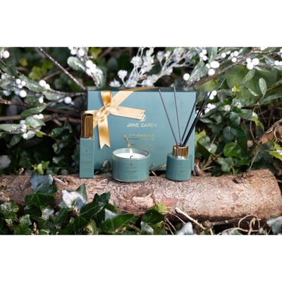 Jane Darcy Into The Woods Pine Eucalyptus & Vetiver Gift Set