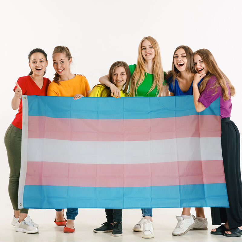 Buy Transgender Flag 100 Polyester 3 X 5 Foot Carrolls Irish Ts