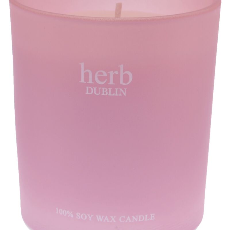 Rhubarb And Fresh Garden Mint 40 Hour Soy Wax Boxed Candle From Herb Dublin  235g