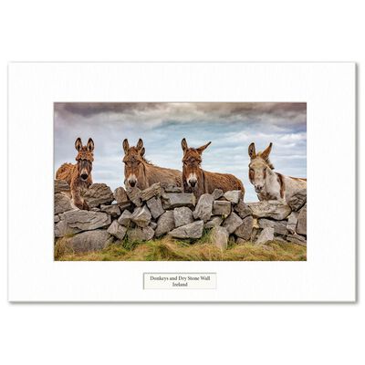 Visions Of Ireland Mounted Prints – Donkeys And Dry Stone Wall