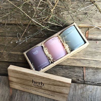 Herb Dublin pastel Trio of Candles