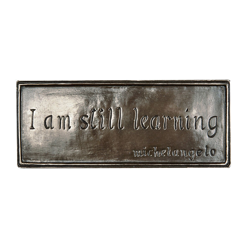 Hand Crafted Bronze I Am Still Learning Designed Plaque