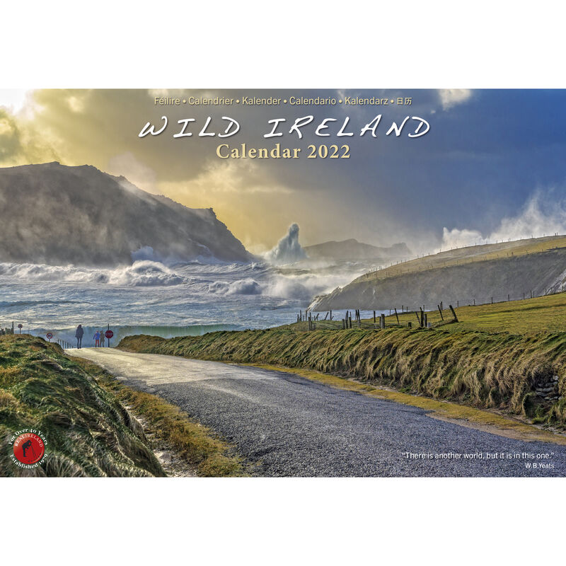 A4 Wild Ireland Calendar 2021 by Liam Blake 