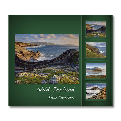 Wild Ireland Designed Coasters - Set of Four