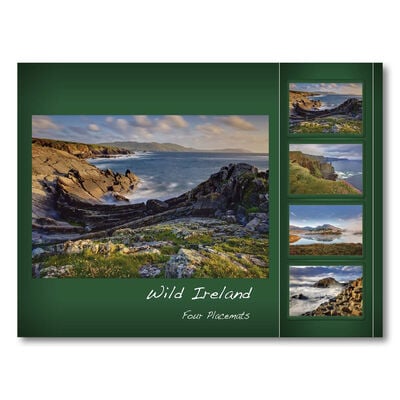 Wild Ireland Designed Placemats - Set of Four