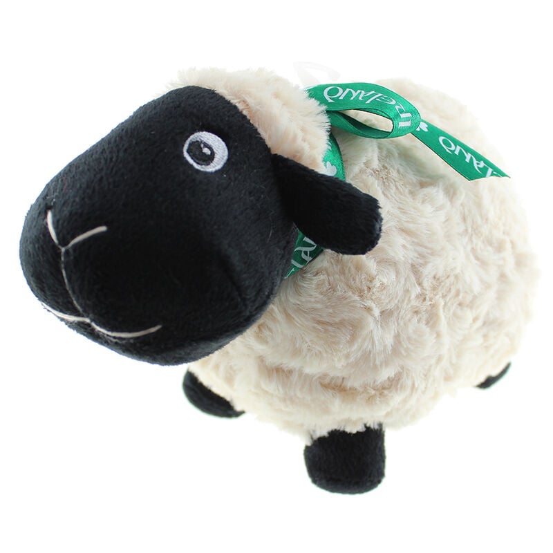 Black Sheep Soft Toy With Green Ireland Ribbon